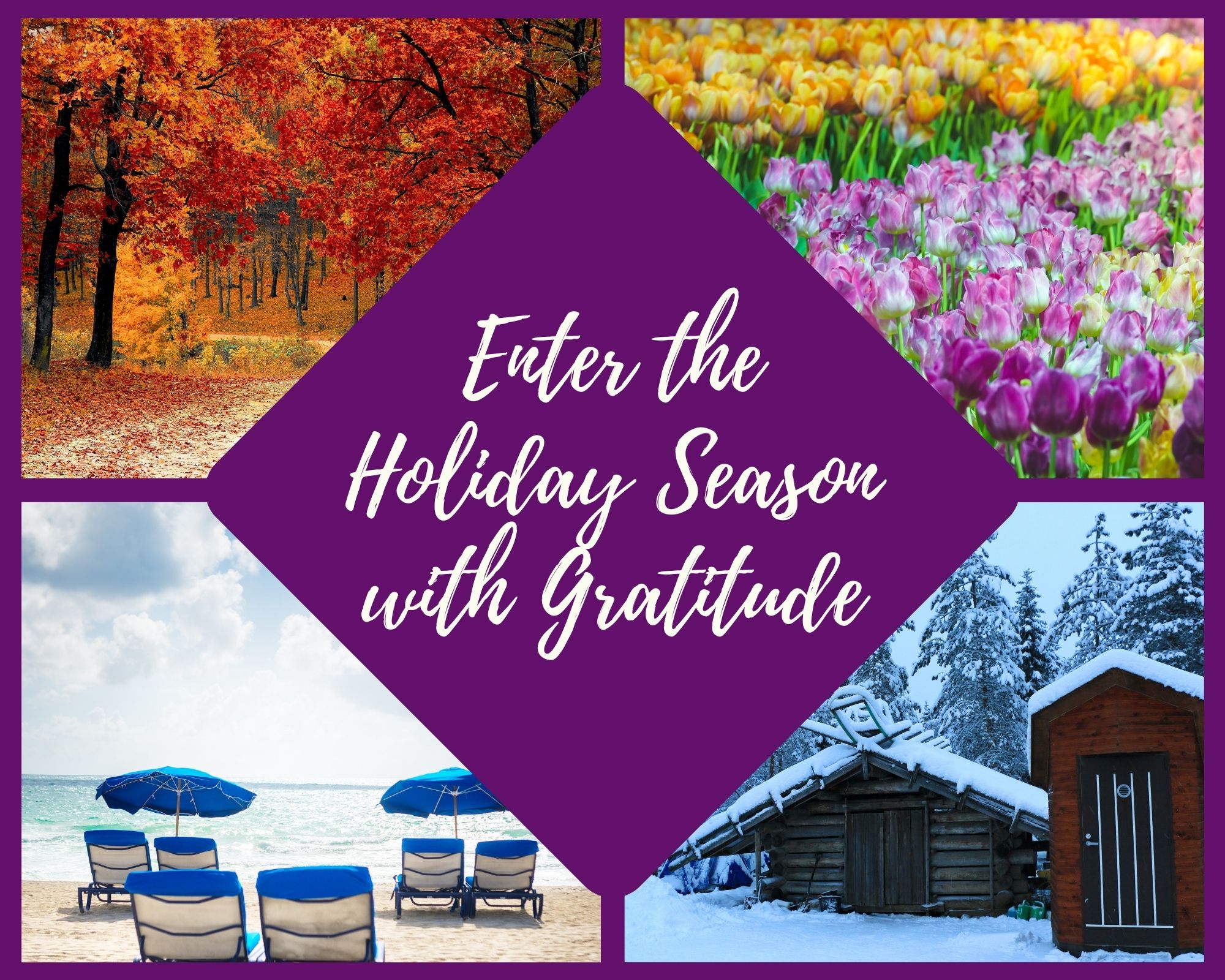 1 gratitude journey