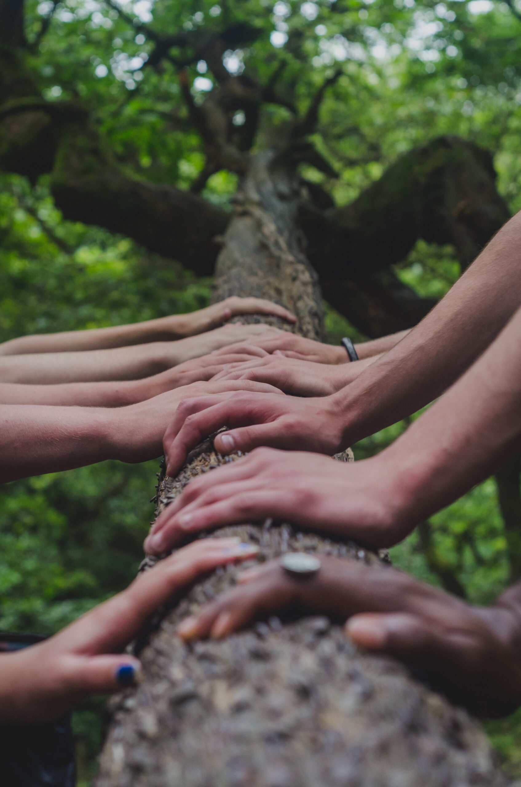 shane-rounce-DNkoNXQti3c-unsplash shane-rounce-DNkoNXQti3c-unsplash